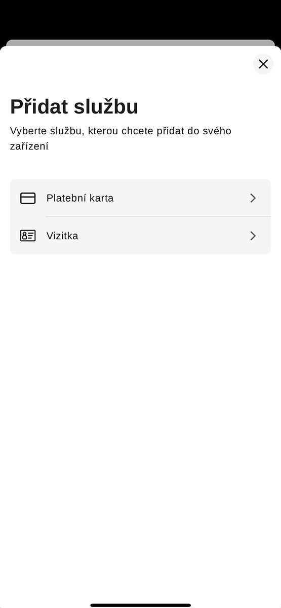 Carneo pay sluzba CZ